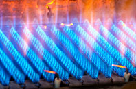Balvenie gas fired boilers